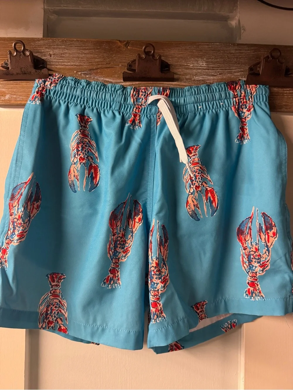 Men's chubbies Aqua Parrot and blue and red lobster Print 2pack Swim Trunks -